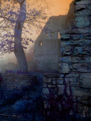 Image: Tree in Castle Ruins
