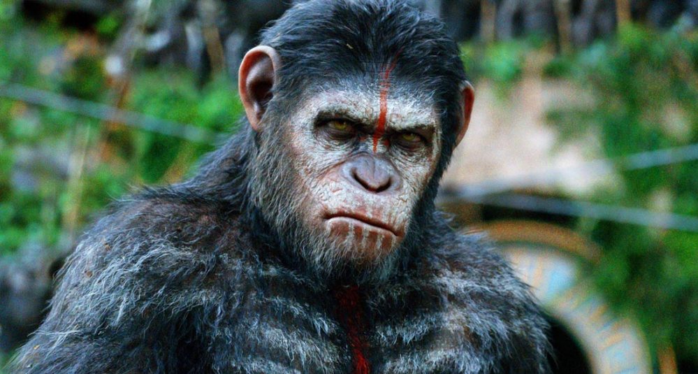 Image: Dawn of the Planet of the Apes