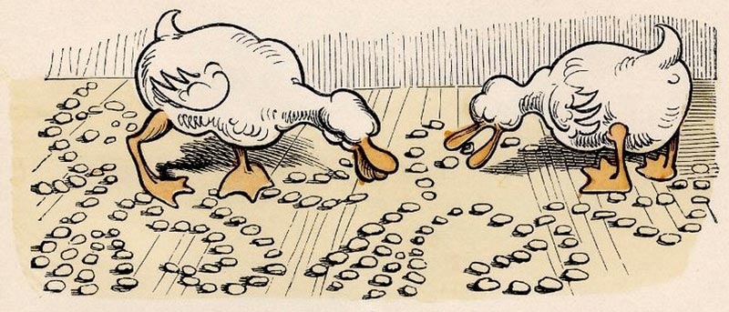 Illustration from Max und Moritz: Ducks Eating Remains