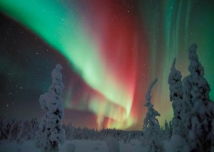Image: Northern Lights in Winter Lapland