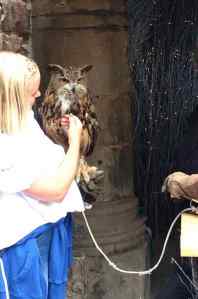 Image: Holding an Owl