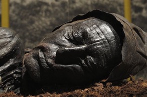 Image: Tollund Man