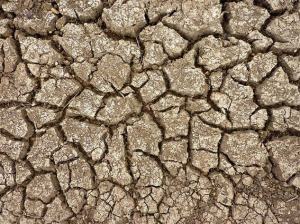 Image: Dried Earth