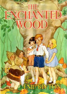 First Edition Book Cover: The Enchanted Wood